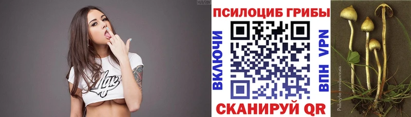 ссылка на мегу ССЫЛКА  Урюпинск  Псилоцибиновые грибы Psilocybine cubensis 